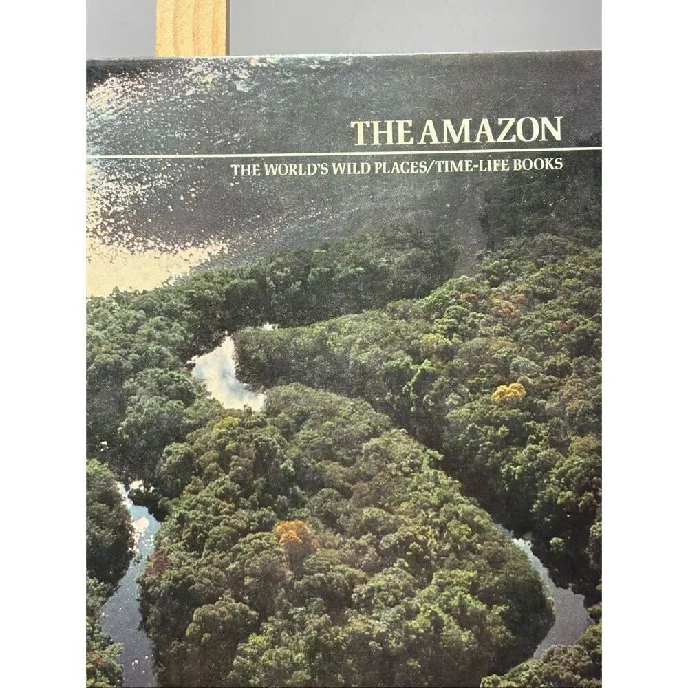 The Amazon - Picture 2 of 7